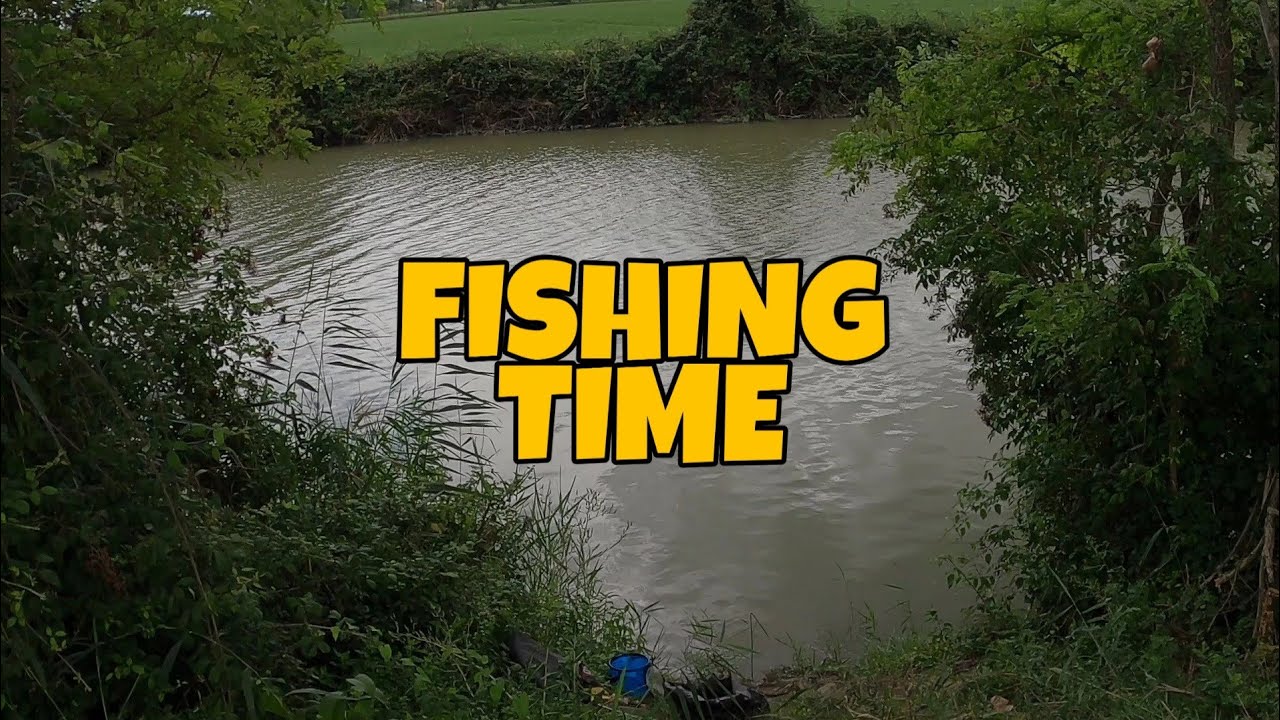 Carp and Catfish in Ferrara, Italy