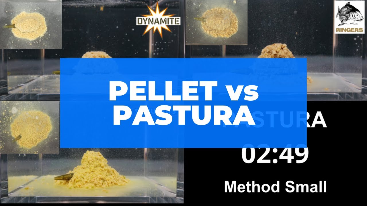 Pellet VS Pastura - Come si comportano in acqua?