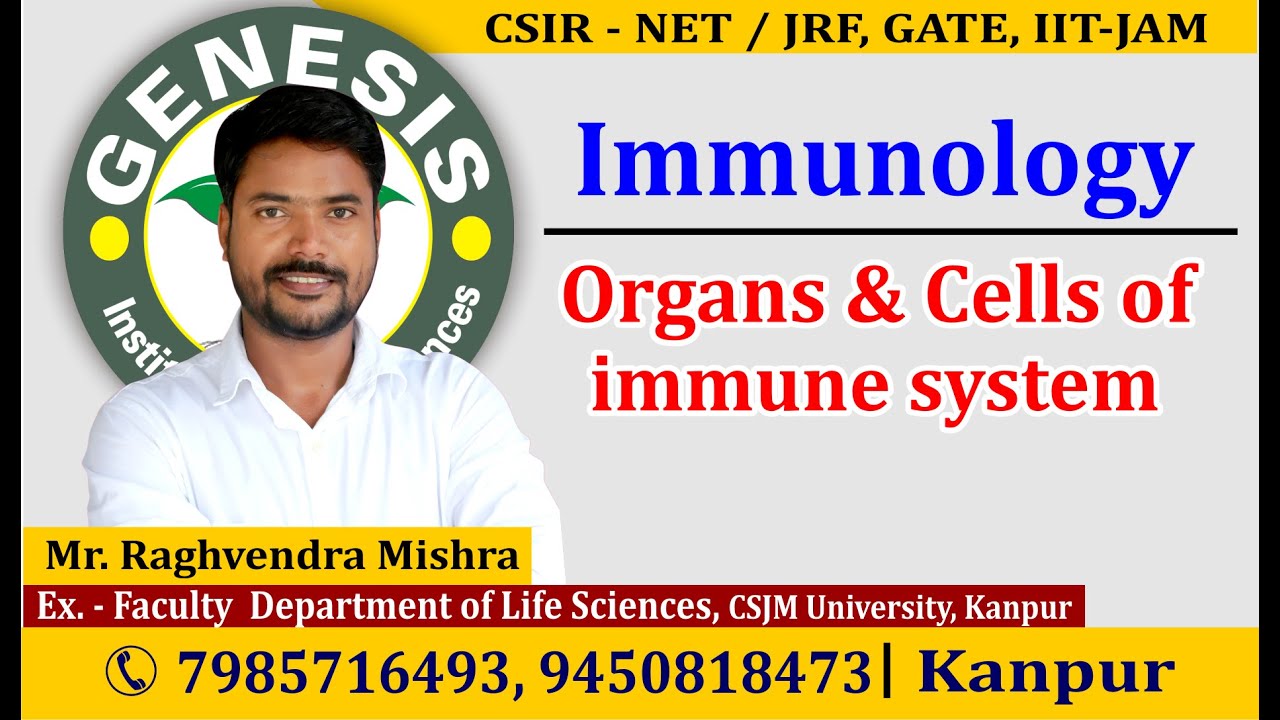 Cells & Organ of Immune System  by Raghvendra sir #CSIR, #GATE, #DBT,  #JNU PhD
