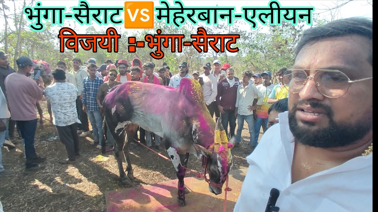 भुंगा-सैराट च्या विजयानंतर पप्पूशेठ पाटील यांची मुलाखत | या गाडीचा अंदाज अजून कोणालाच लागला नाही |