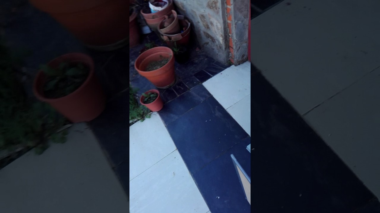 Colmena de poliestireno