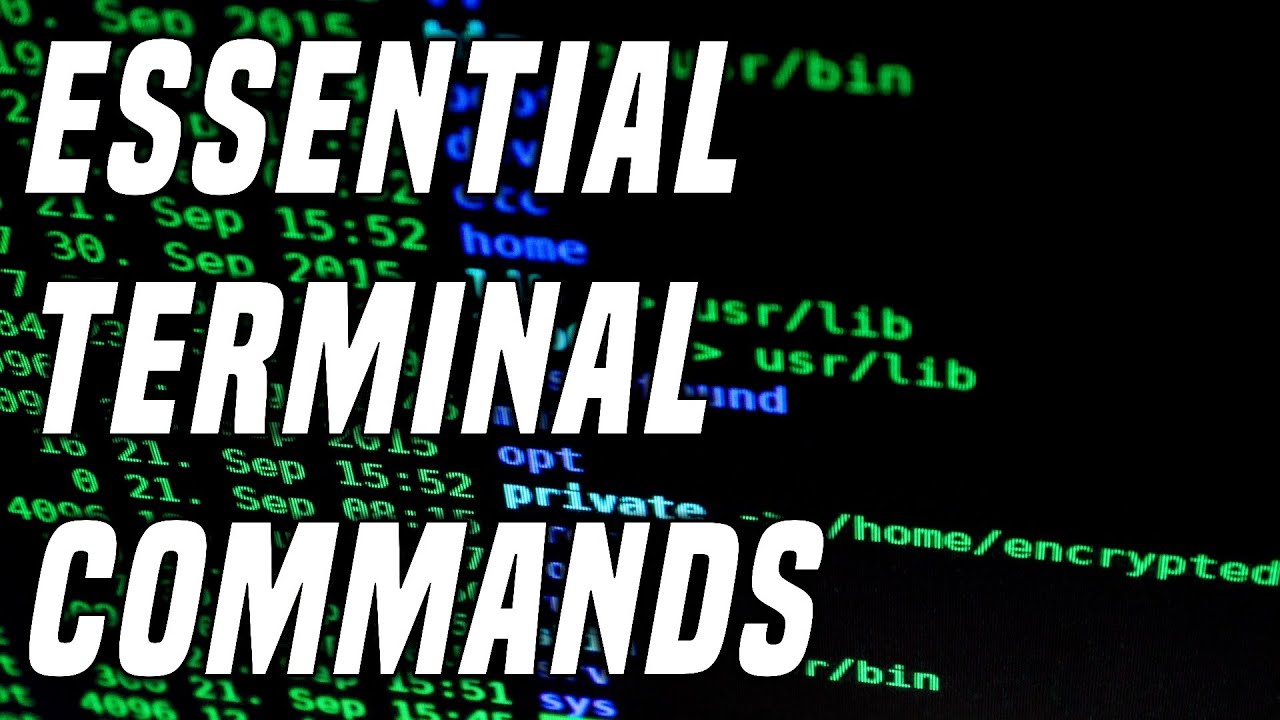 15 Useful Linux Commands Every Linux User Needs | Learning Terminal Part 1