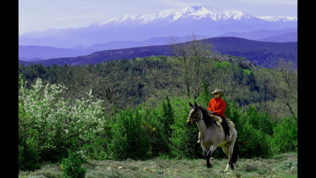 Freizeitreiten: TTouch® für Pferde - Reiten in der Natur