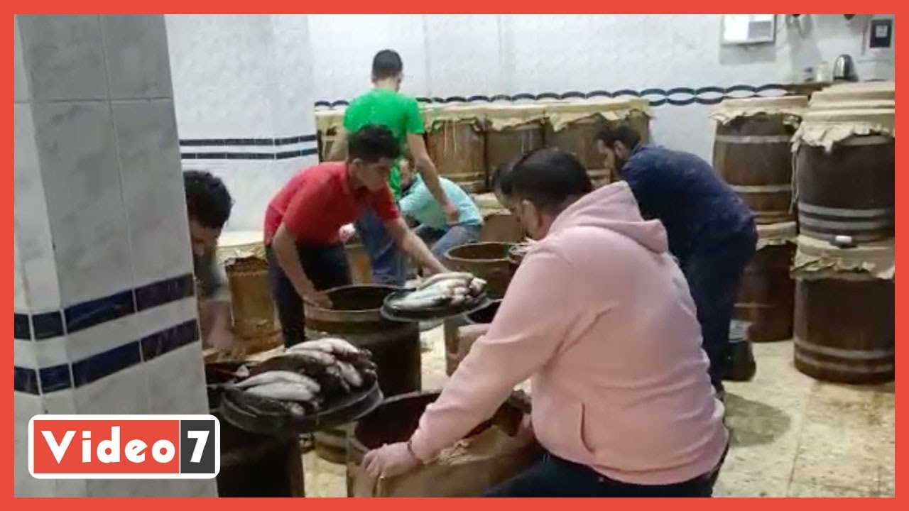 مراحل صناعة السمك المملح في مدينة نبروه 