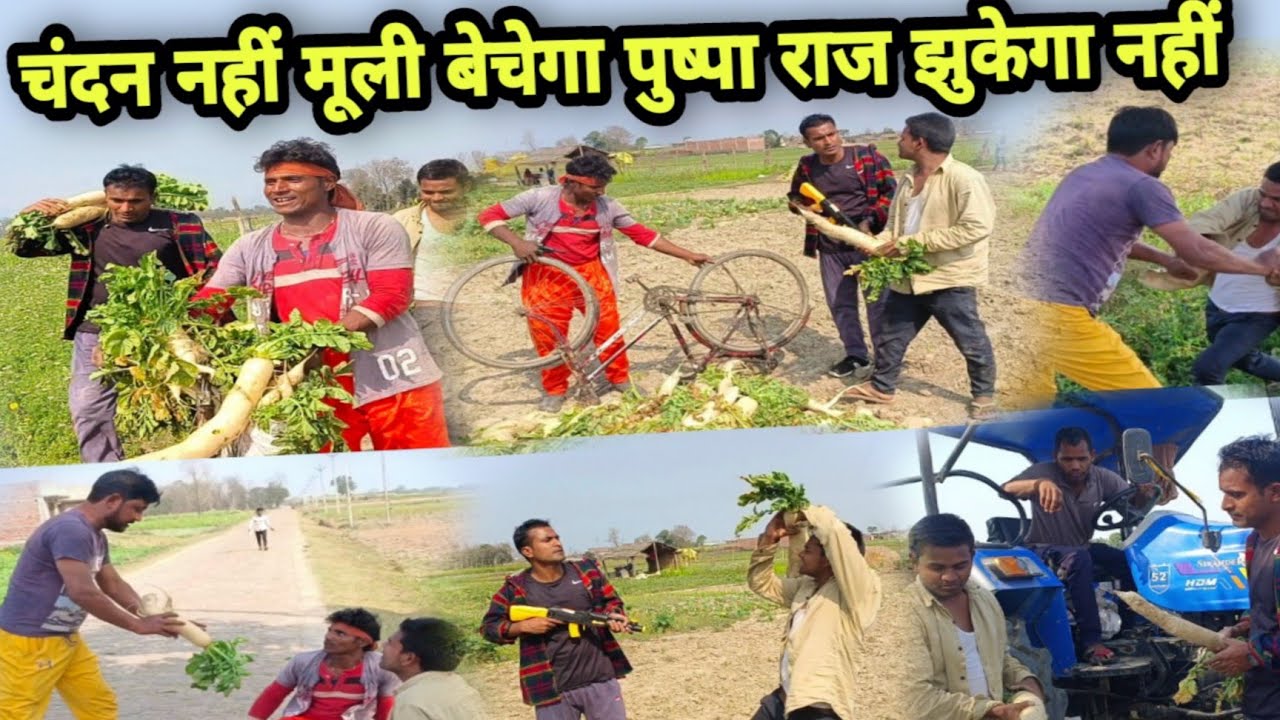 चंदन नहीं मूली बेचेगा मगर पुष्पराज झुकेगा नहीं ||Imran Waheed Sabbu ki comedy