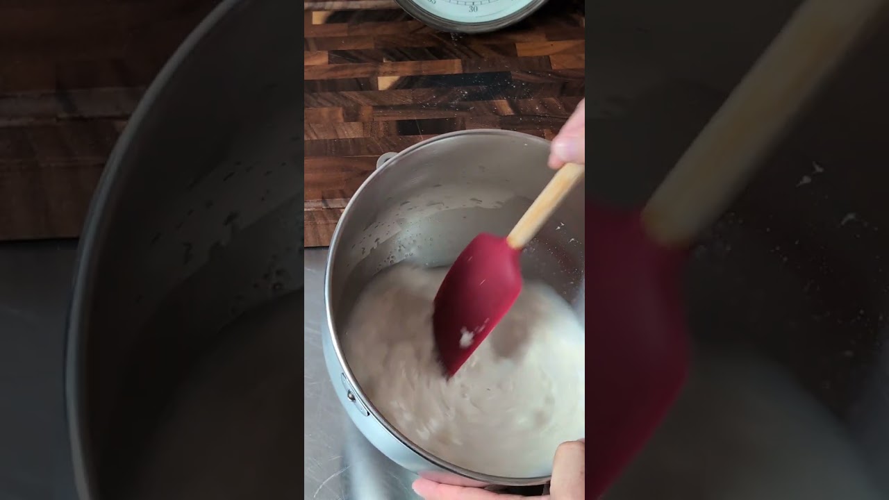 Poolish Pizza Dough