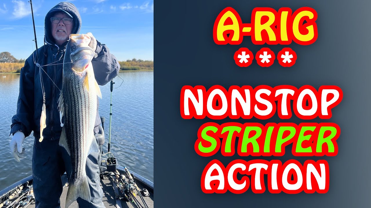 Target A-Rig Stripers - (EASY LIMITS in the Winter)