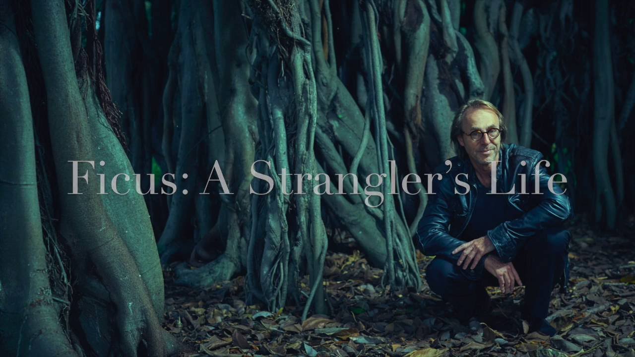 New Shoots - Mark Tredinnick reads 'Ficus: A Strangler&rsquo;s Life'