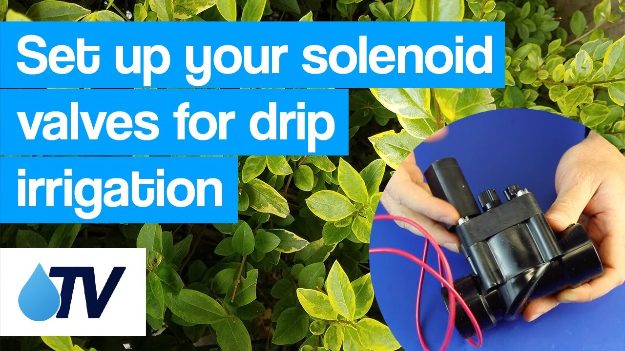 Set up your solenoid valves for drip irrigation