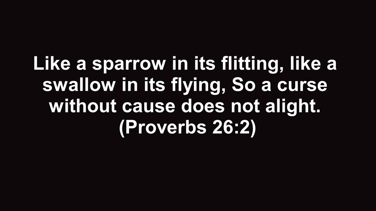 2026-01-27 Morning Devotions  (Proverbs 26:2)