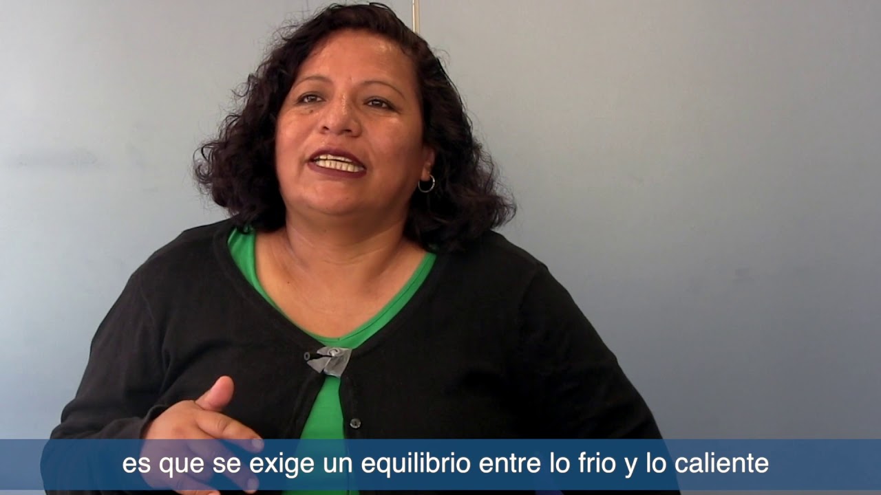 Susy Vargas. Bolivia perspectiva intercultural en el sistema público sanitario 1