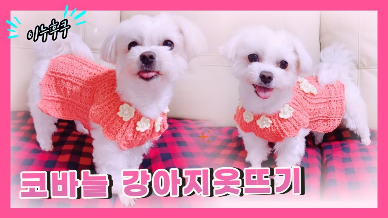 #0094 |이누후쿠|강아지코바늘탑다운뜨개옷뜨기|코바늘|다이소털실|Puppy knitting clothes