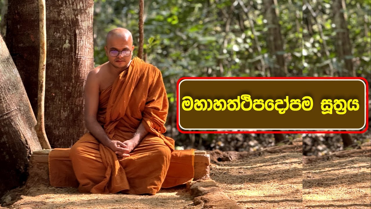මහාහත්‍ථිපදෝපම සූත්‍රය | Maha Haththipadopama Suthraya (2024.12.19)