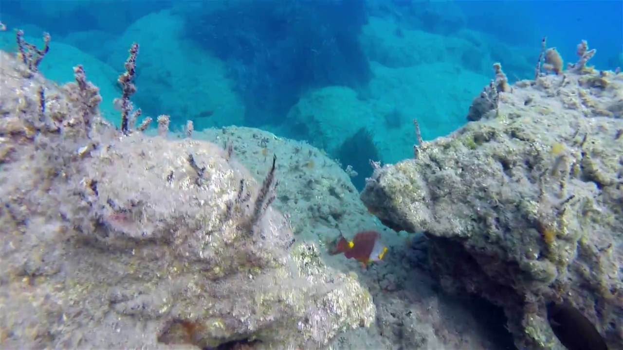 Snorkeling at Dafni Beach