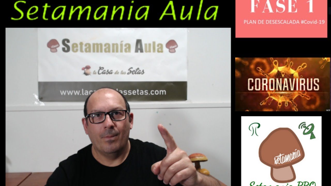 Especial Fase 1. &iquest;Se puede ir a buscar Setas?. Setamania