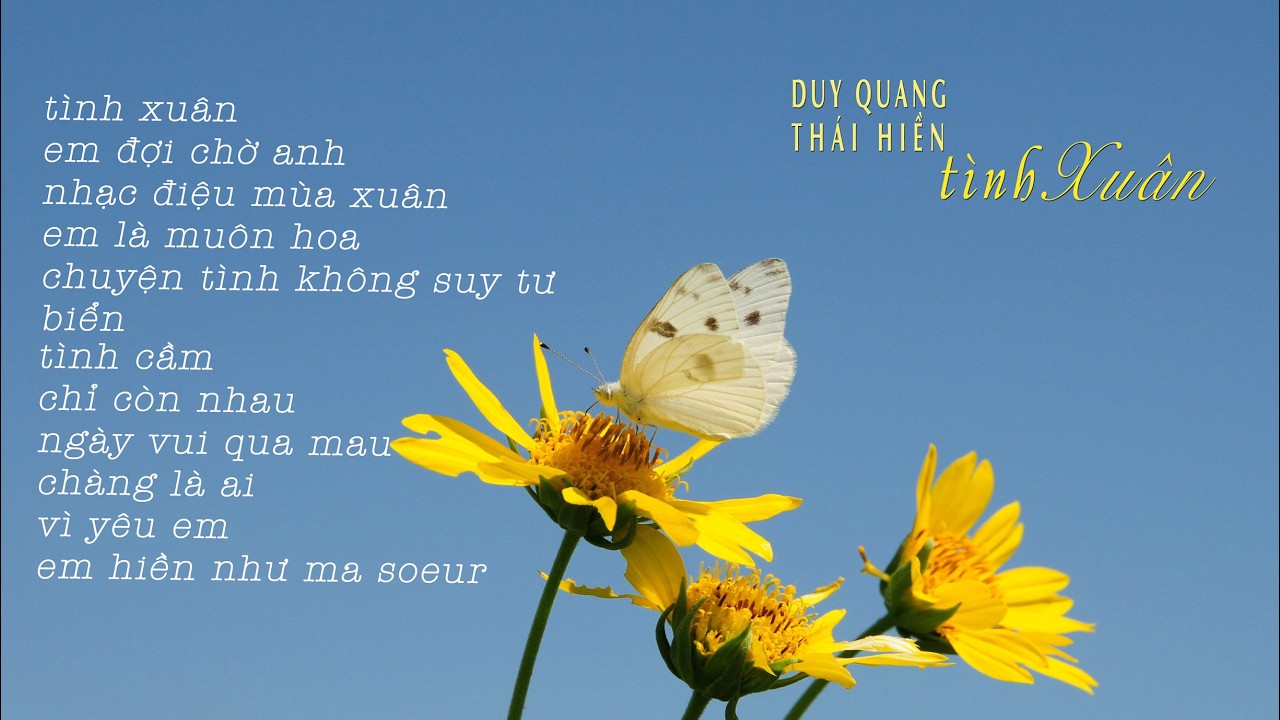T &igrave; n h   X u &acirc; n  |  Th&aacute;i Hiền & Duy Quang