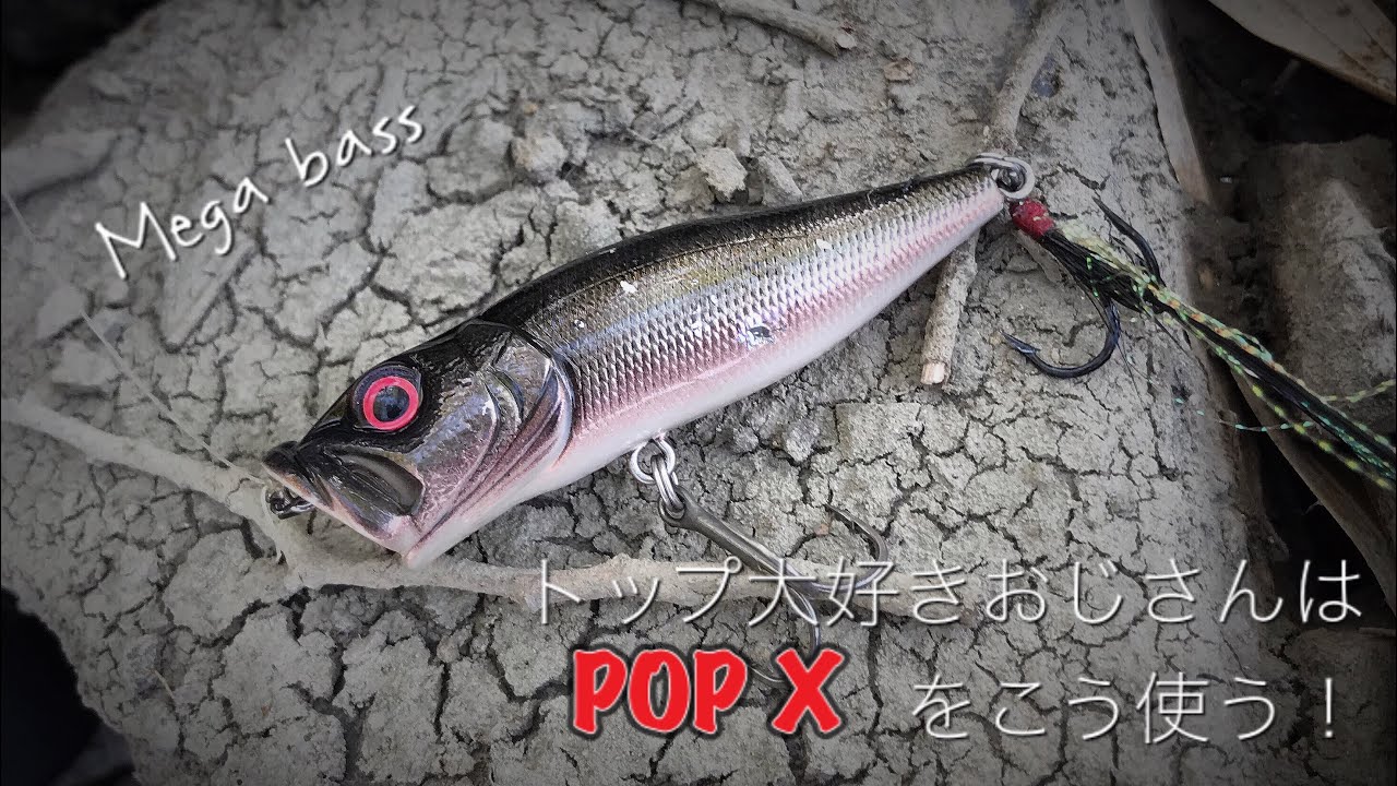 【POP X】発売から現在まで釣れ続いてる伝説のルアー紹介‼︎
