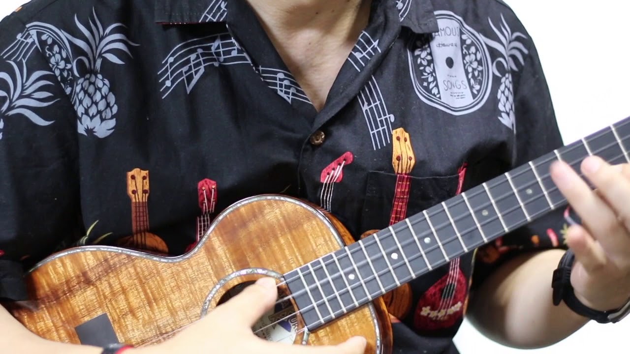 Eleanor Rigby - Ukulele instrumental cover
