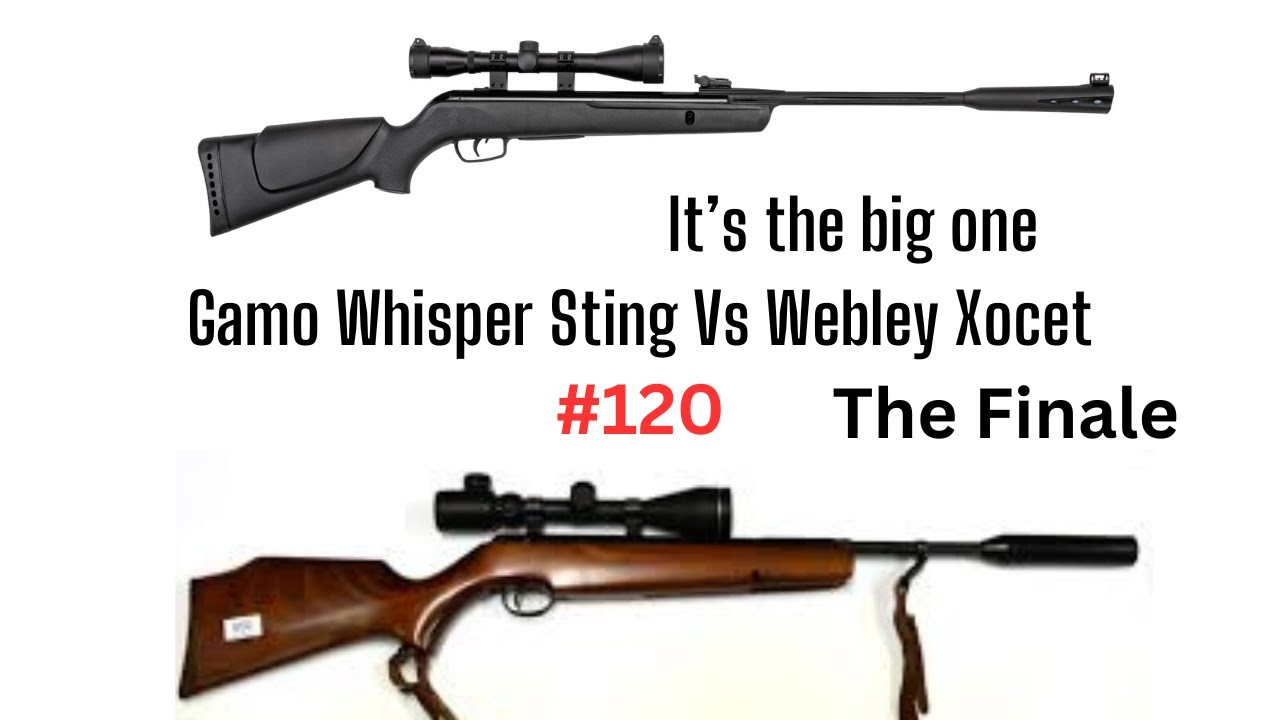 Gamo Whisper Sting Vs Webley Xocet