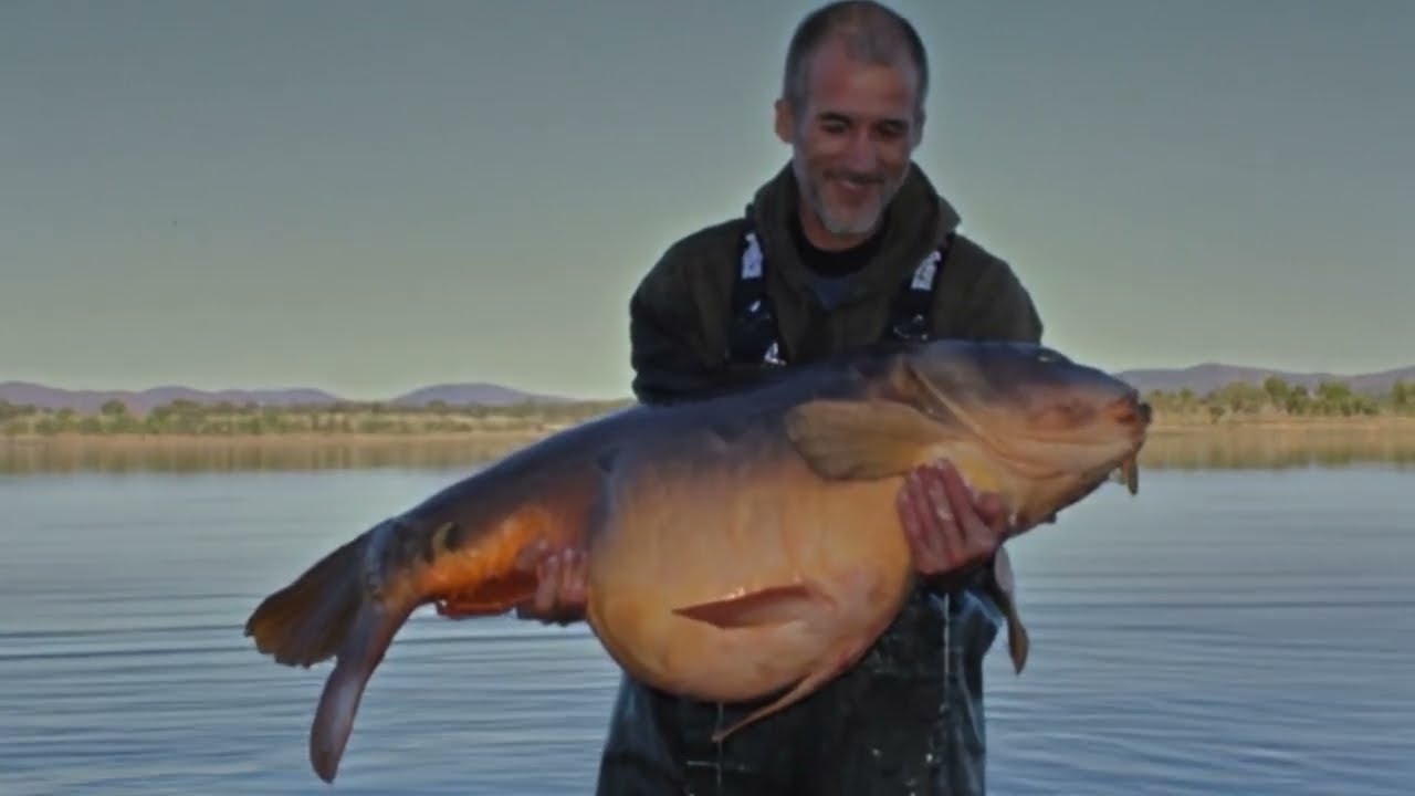 Mobydick  +34,4kg   Emb.Boqueron