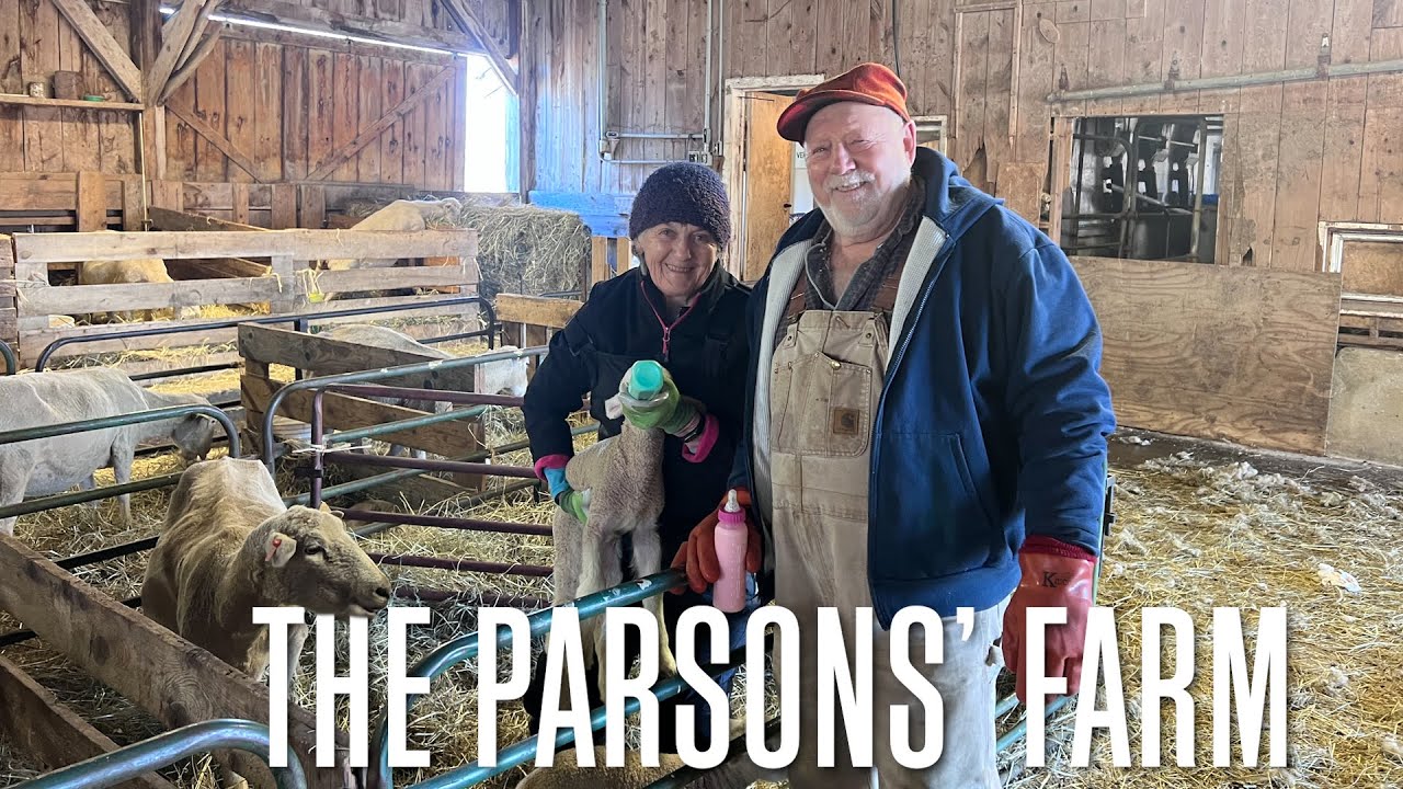 Lambs at The Parsons’ Farm [Stuck in Vermont 687]