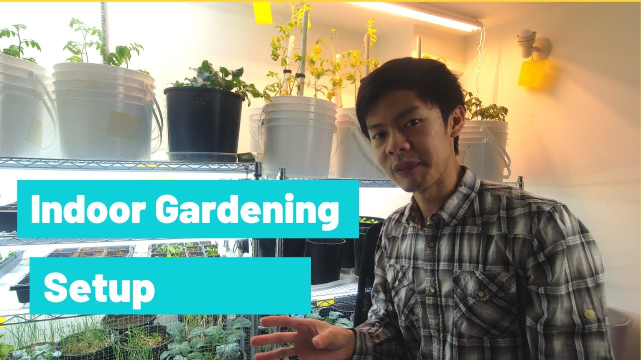 My Indoor Gardening Setup and Cost