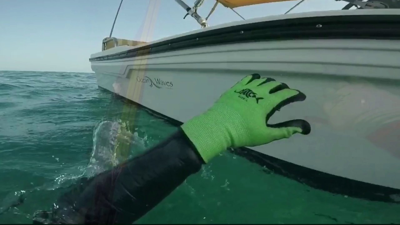 C4 GRAPHITE SPEARGUN SPEARFISHING IN ABUDHABI