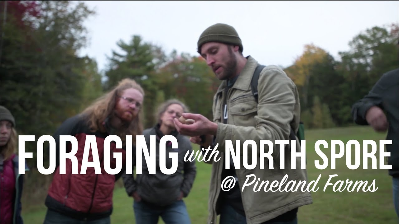 Foraging for Mushrooms in Maine with North Spore