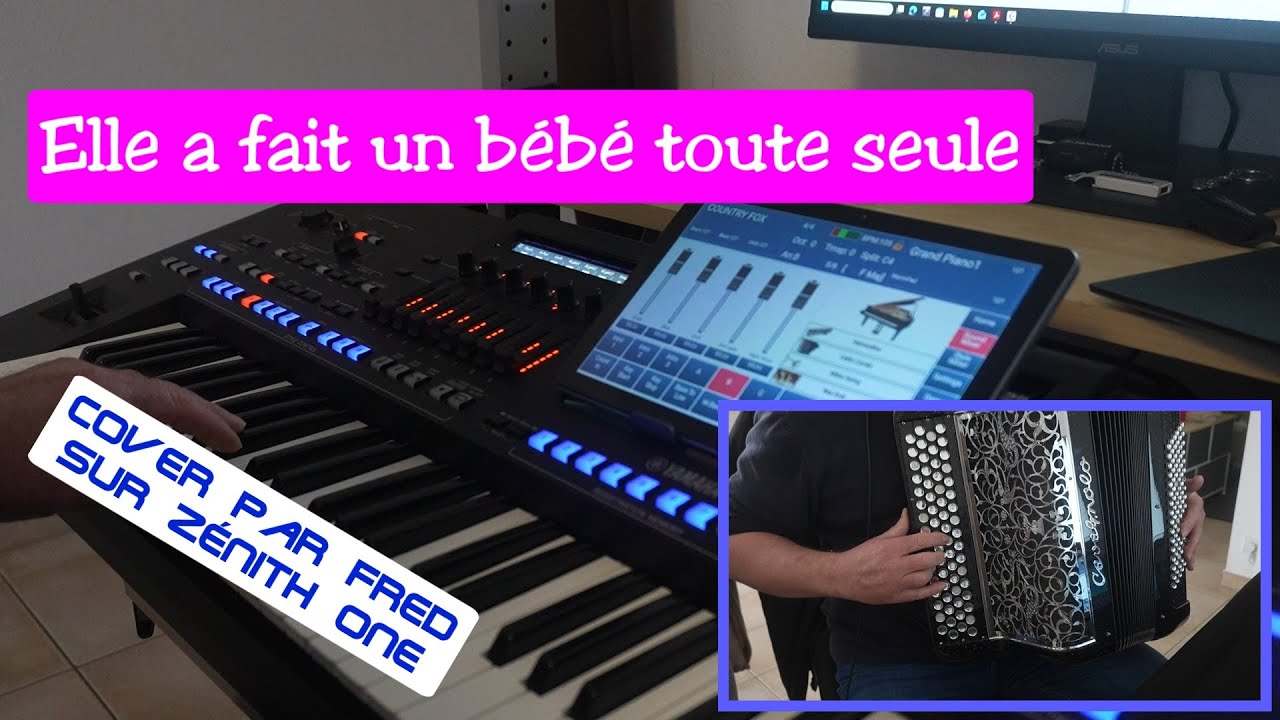 Elle a fait un bébé toute seule (JJG) Cover par Fred sur Cavagnolo Zénith One