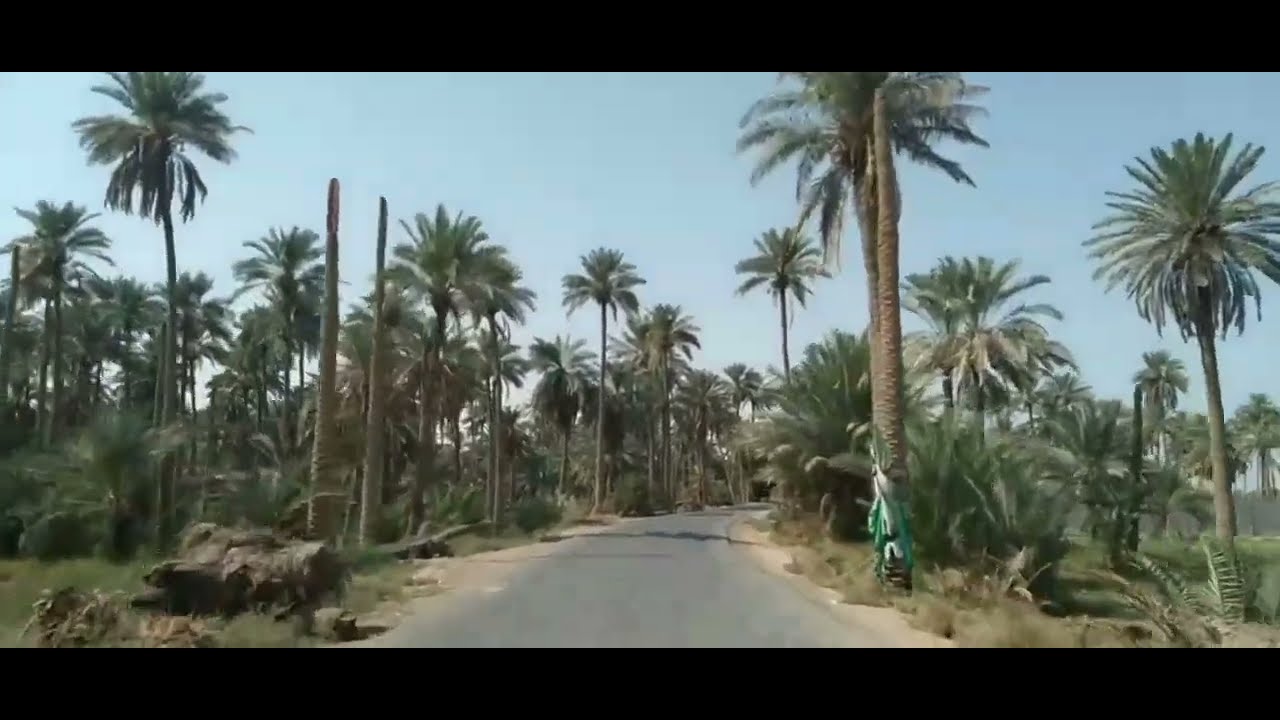 بساتين الكوفة شوفوا جمالها وخاصة بالليل🥰