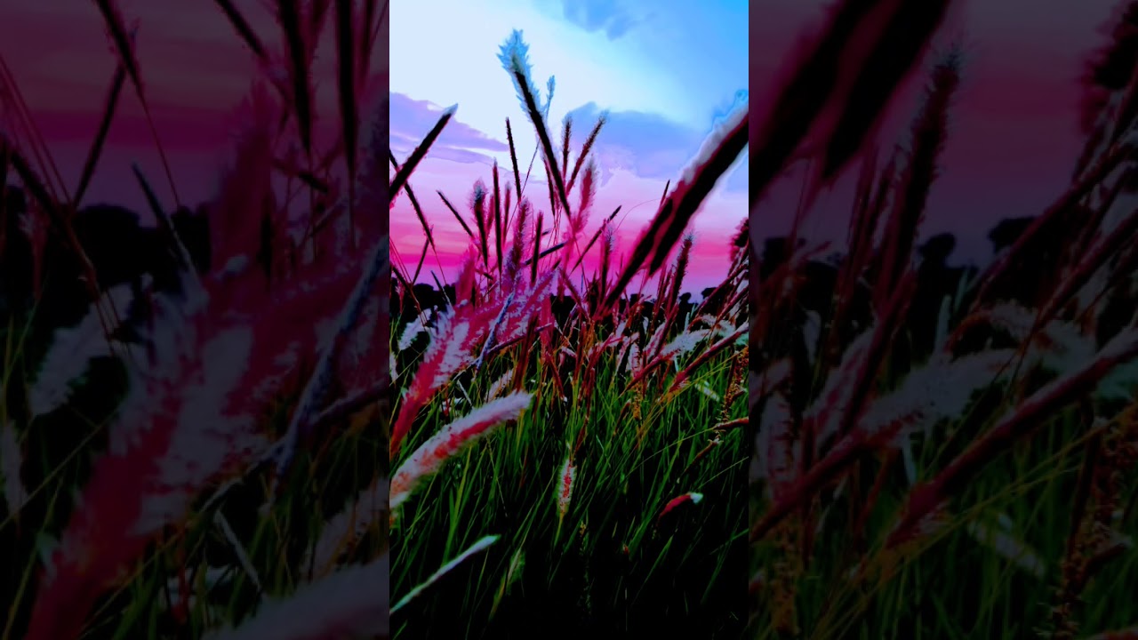 #anime #nature #animebgm #animemusic #travel #animeringtone #animethemesong #bgmi #musiceringtone