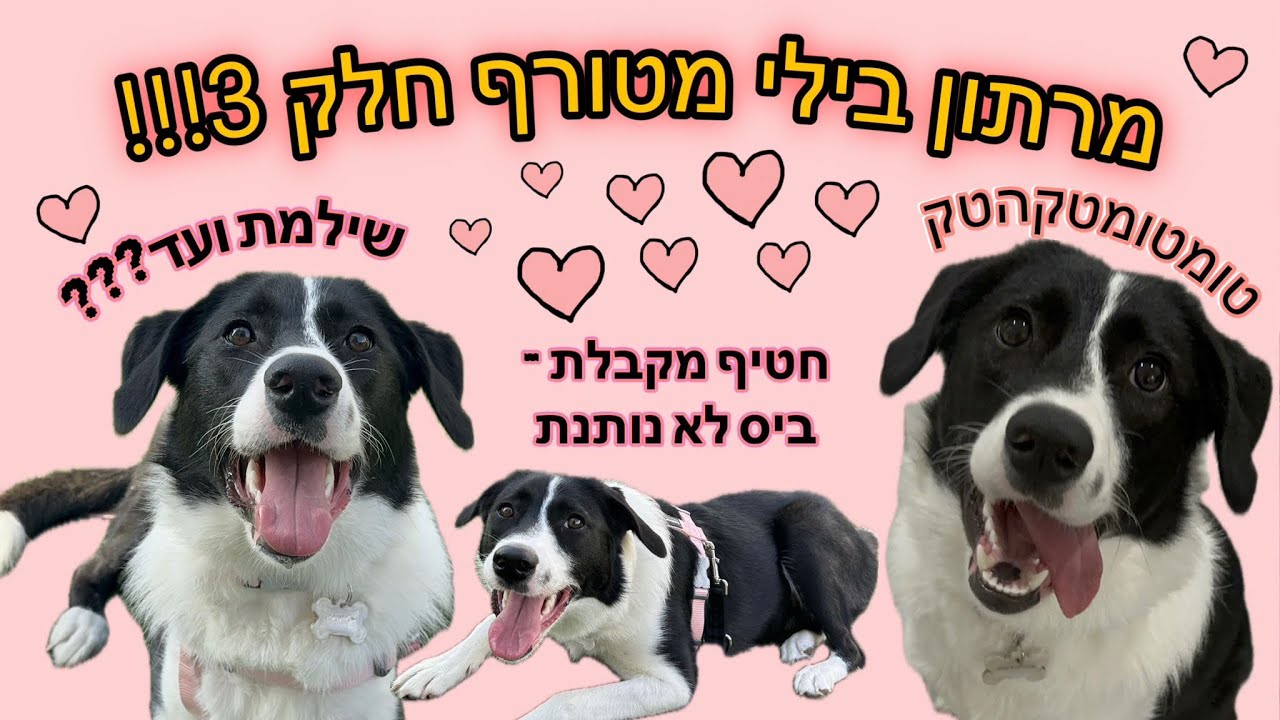 מרתון מטורף של בילי!! (כמה פעמים עשיתי טומטקטק?!)