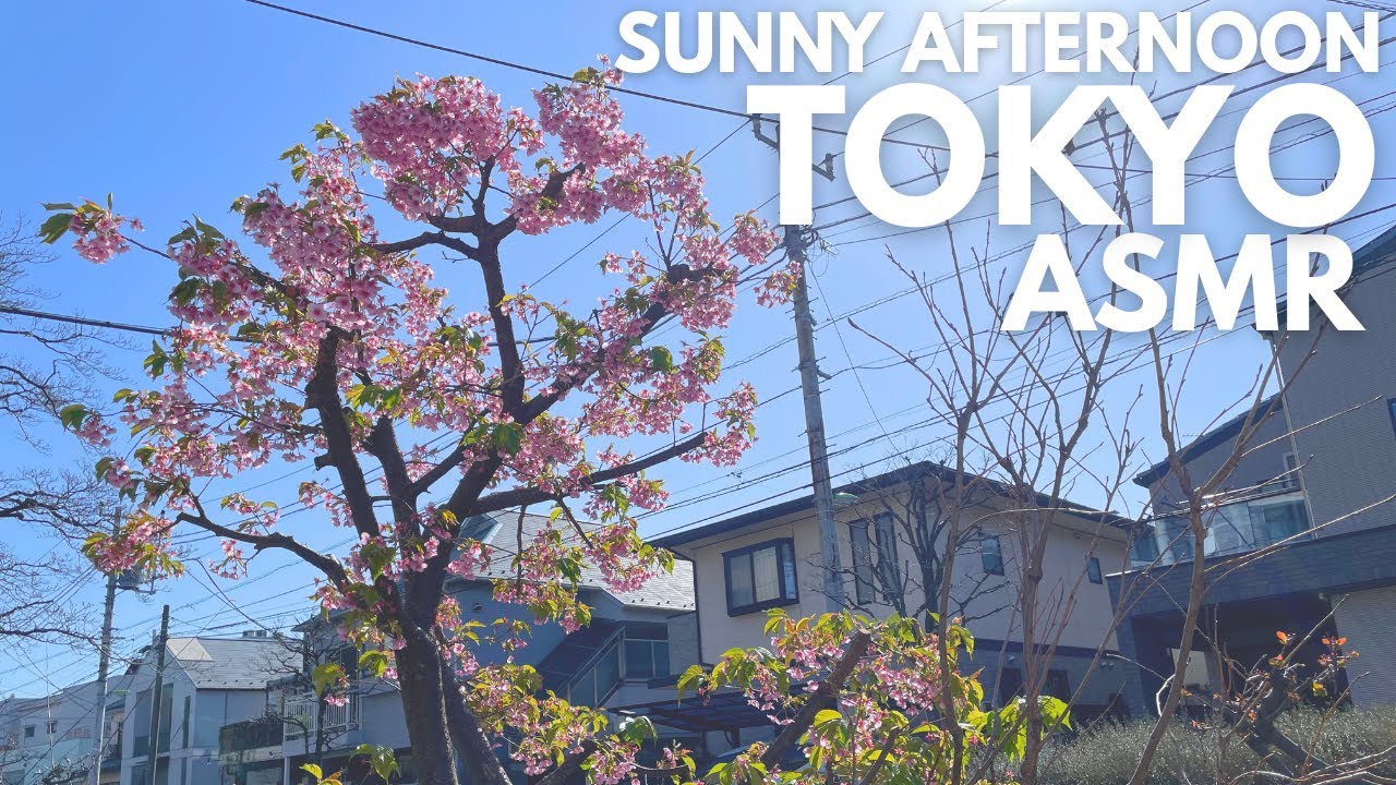Tokyo Shibuya Residential Area Walk ASMR Sunny Afternoon City Ambience Real Japanese Sounds
