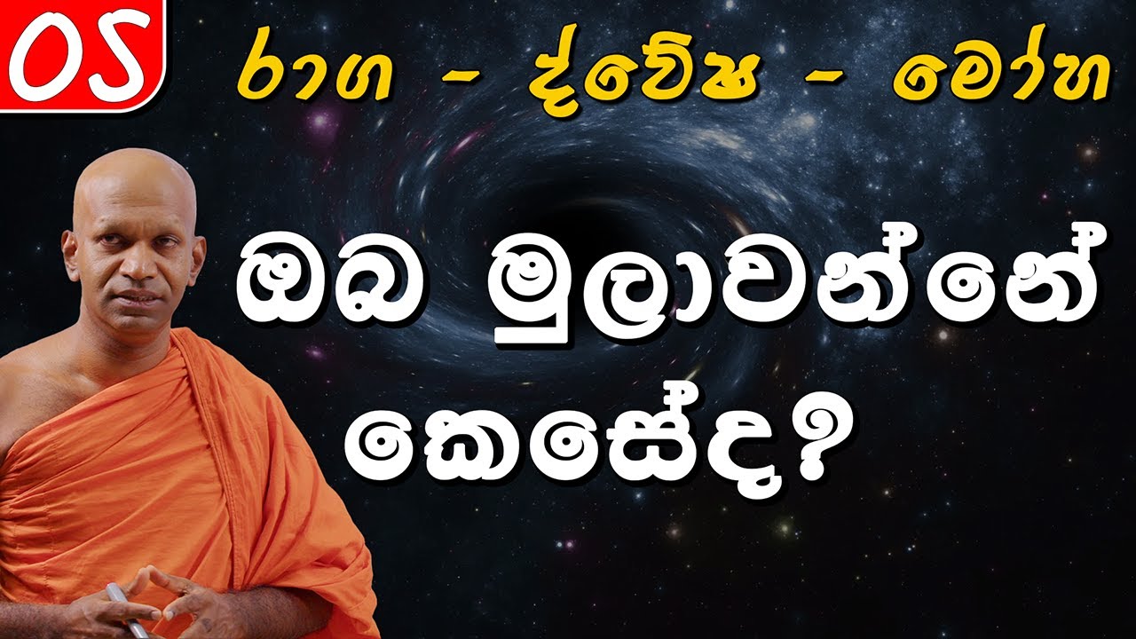 05. ඔබ මුලාවන්නේ කෙසේද  ?