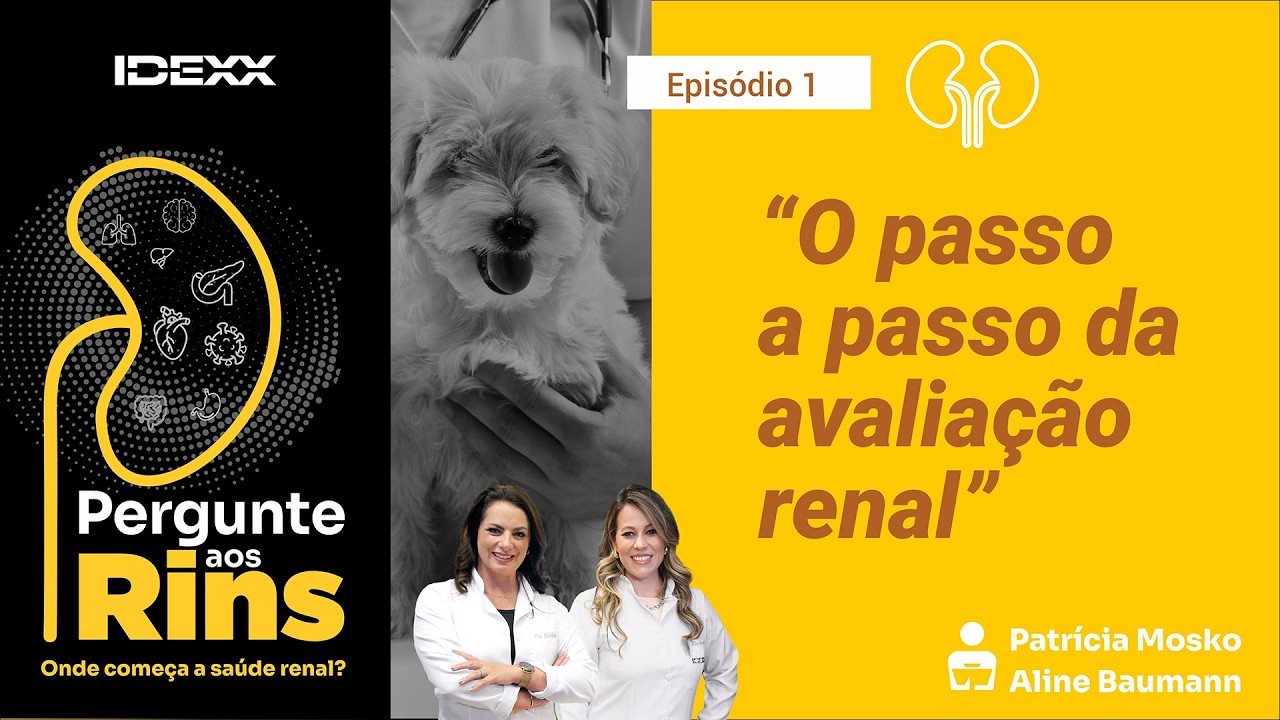🟡 O PASSO A PASSO DA AVALIAÇÃO RENAL | Pergunte aos Rins