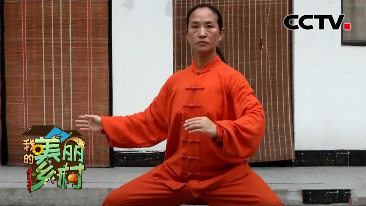 以拳立村！走进陈氏太极拳之乡——陈家沟 | CCTV「我的美丽乡村」20201027