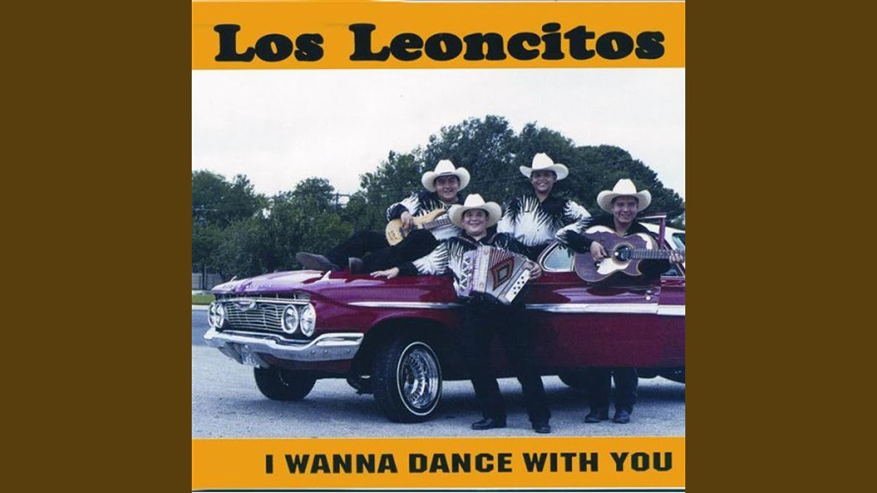 I Wanna Dance With You