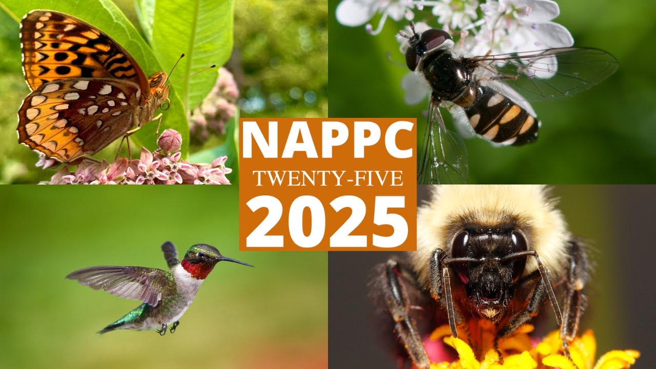 25 Years of the North American Pollinator Protection Campaign (NAPPC)