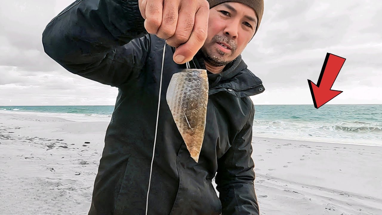 Beach Fishing 12 Hrs with Mullet! CATCH and COOK