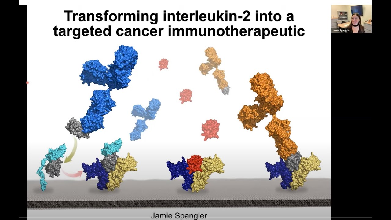 Harnessing Cytokines for Cancer Immunotherapy Symposium: Dr Jamie Spangler, Johns Hopkins University