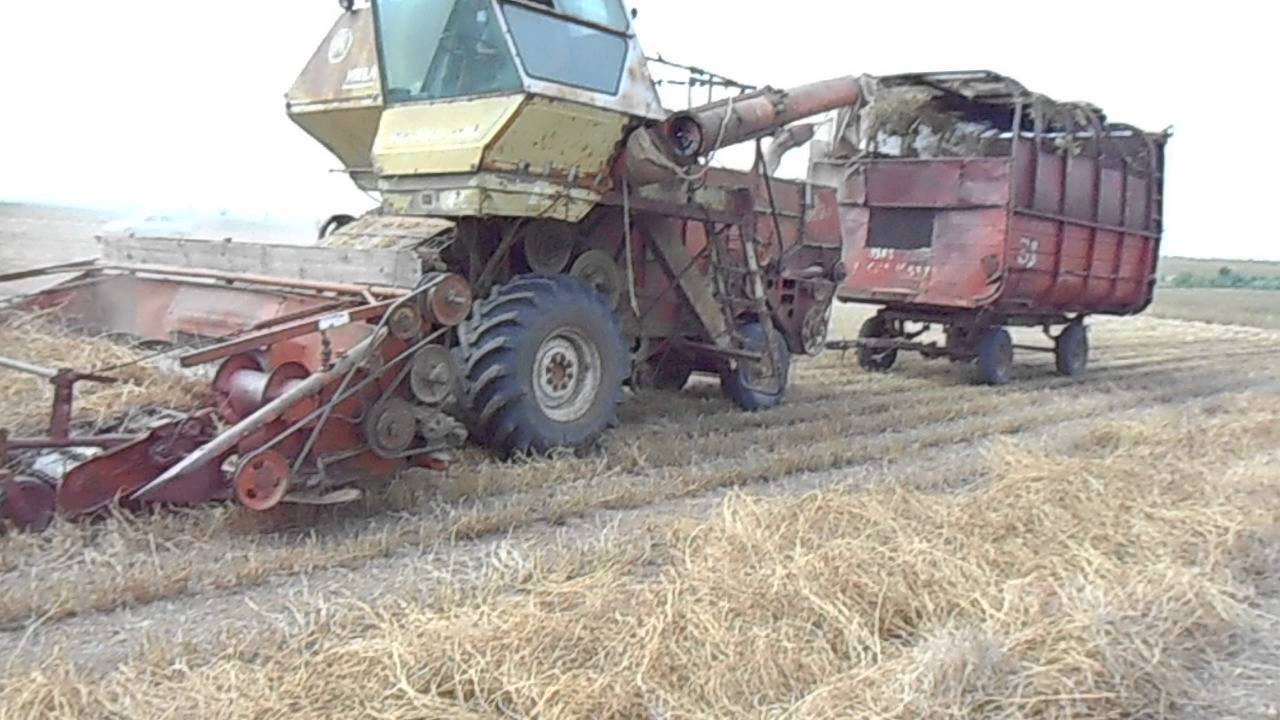 Уборка семян люцерны 2016 HARVEST ALFALFA SEEDS IN UKRAINE