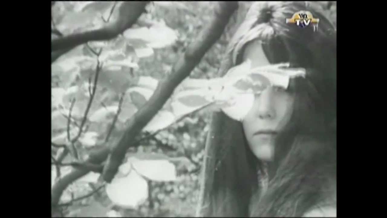 The Troggs - Night of the Long Grass [1967]