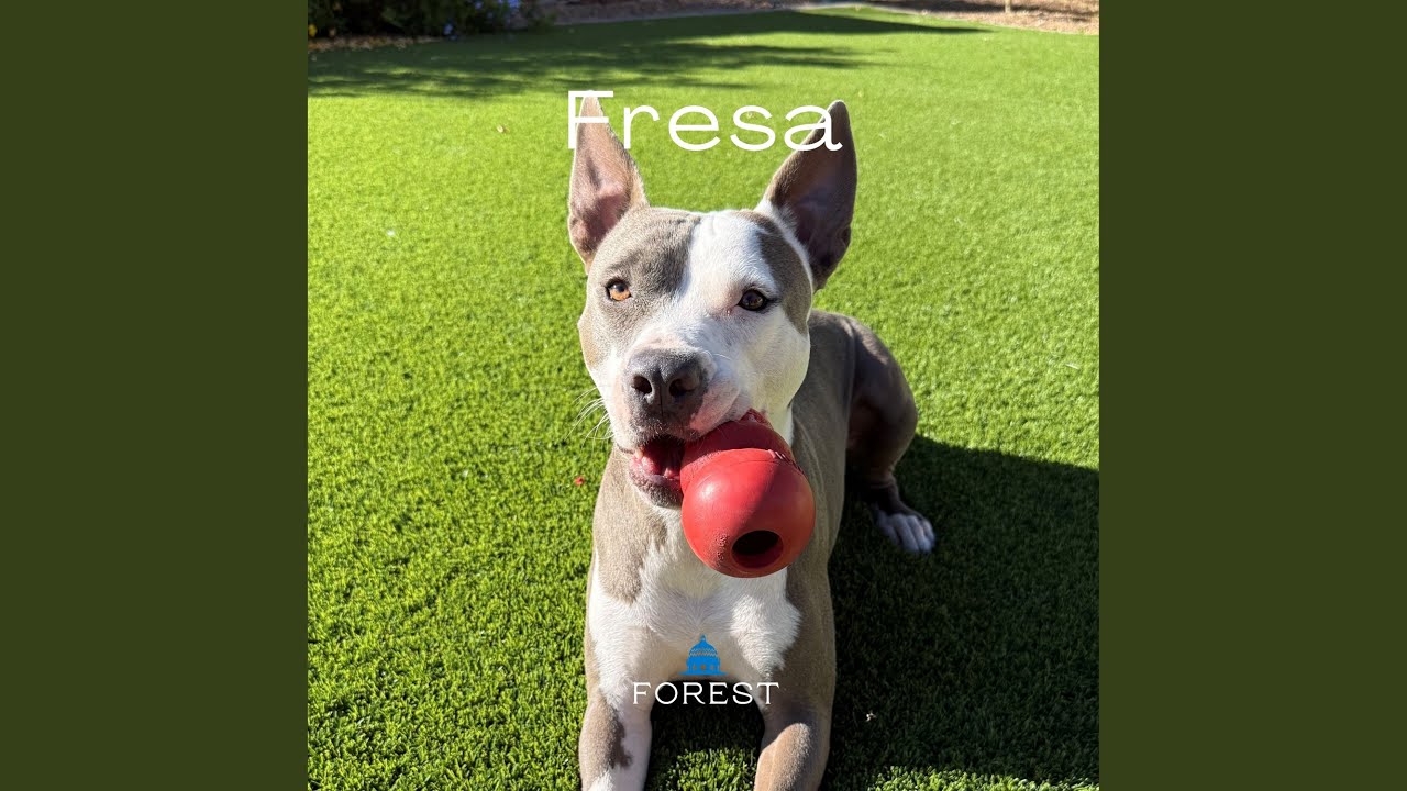 Fresa