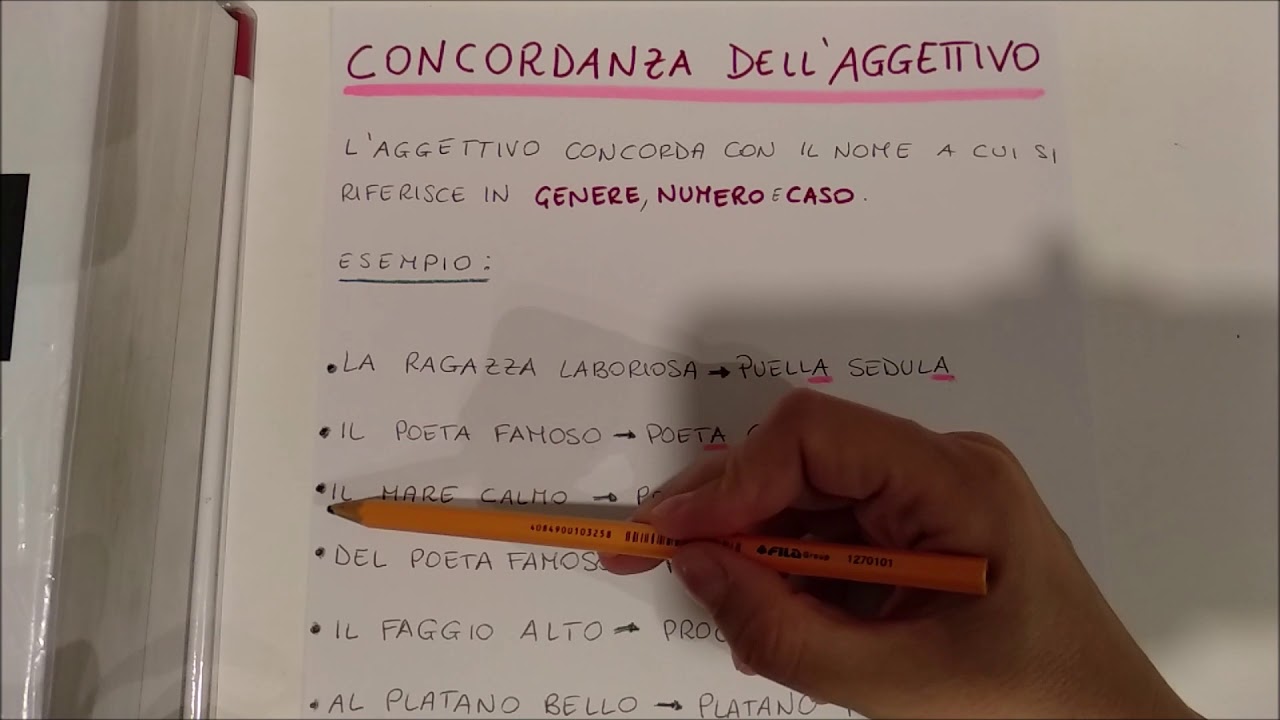 lezione 13 - concordanza dell'aggettivo con il sostantivo