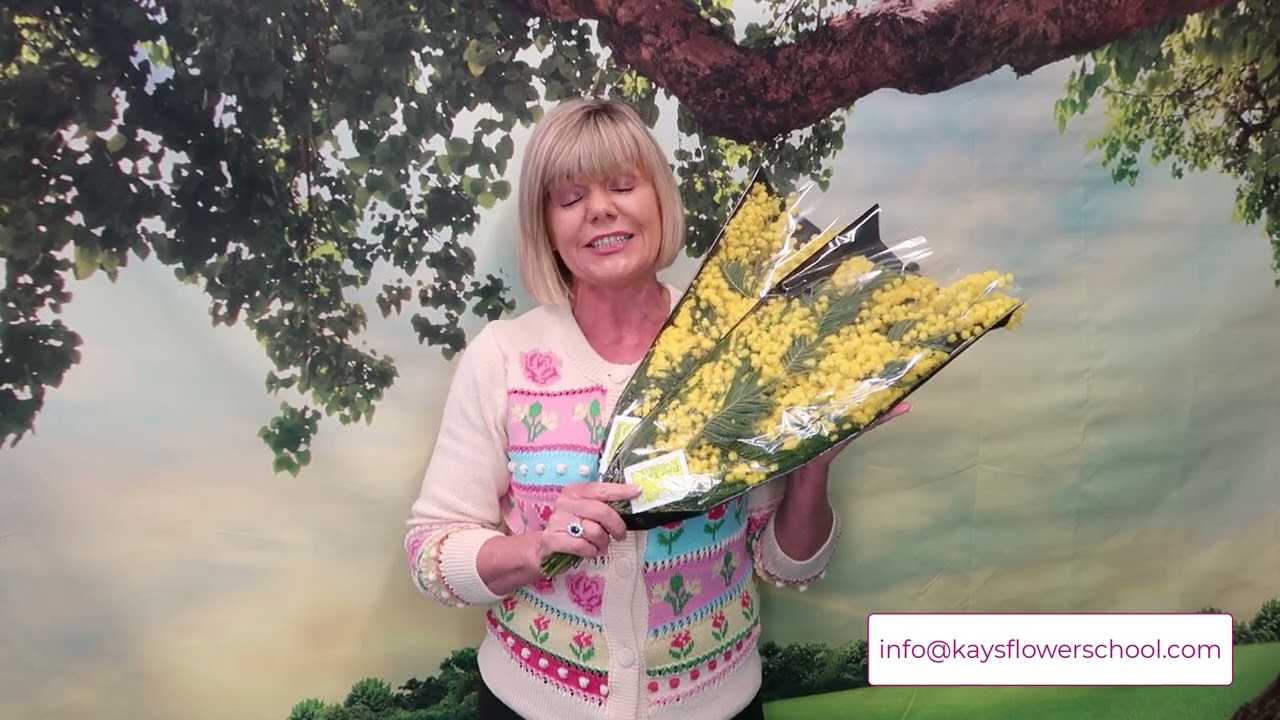 Top Tips on Conditioning Mimosa as a cut flower