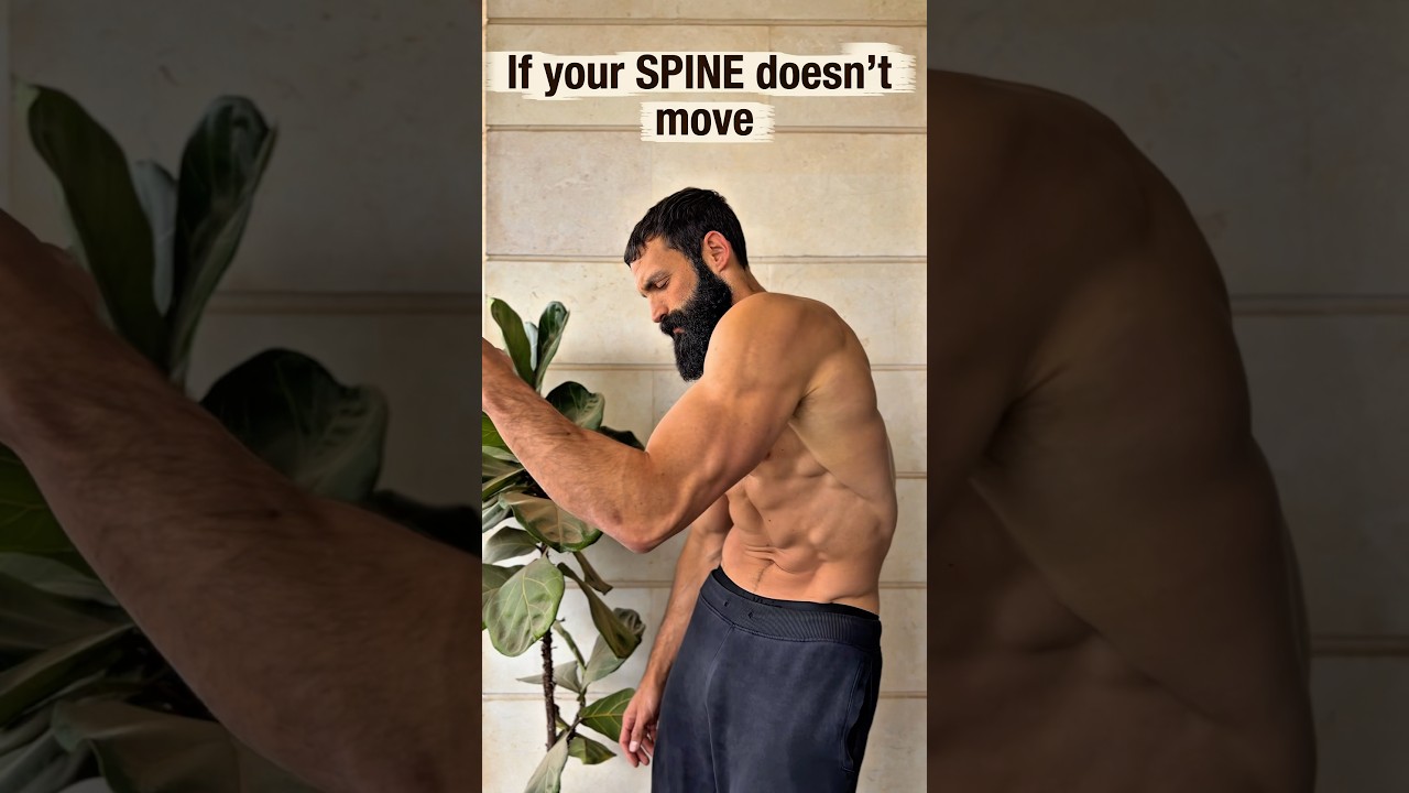 If your SPINE doesn&rsquo;t move, YOU don&rsquo;t move. #spine #movement #health