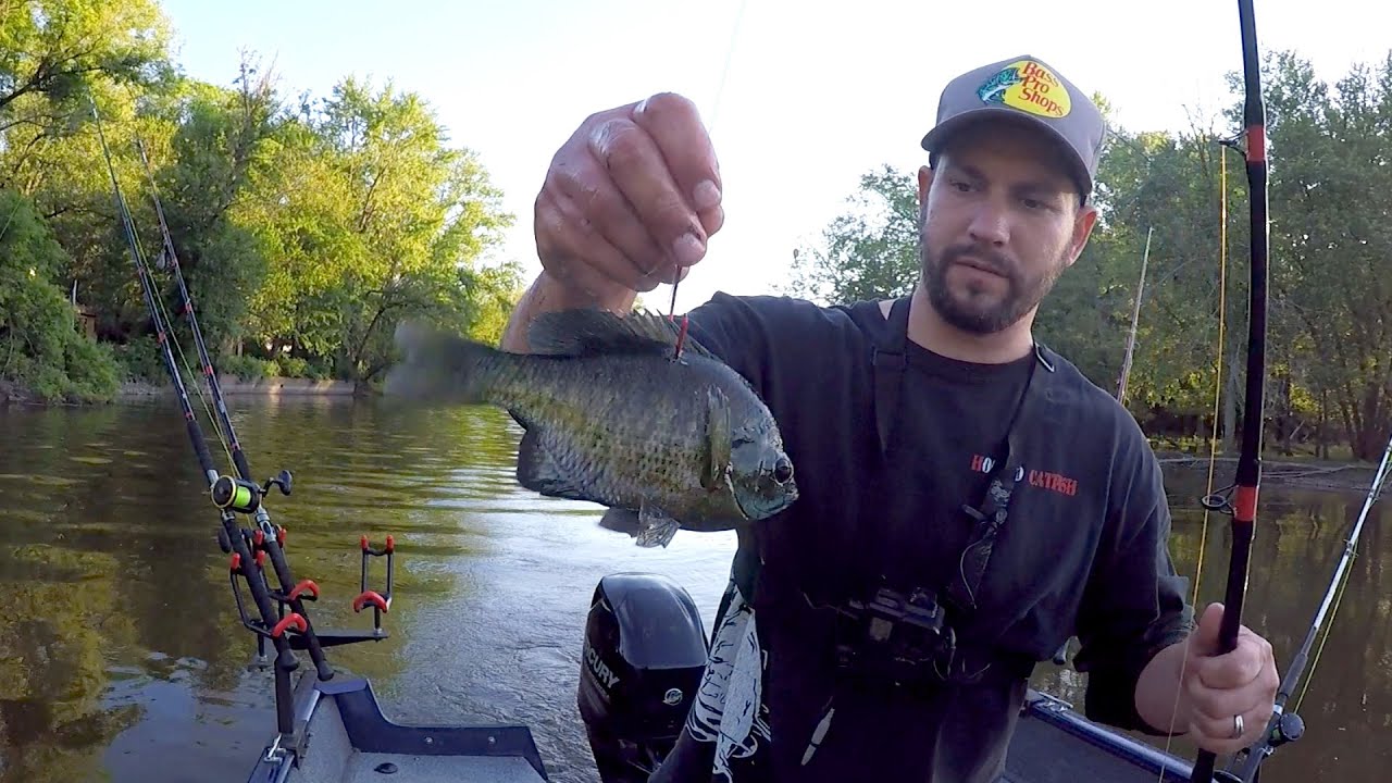 Do BIG Flatheads Live in TWO FOOT Of WATER?? (Big fish)
