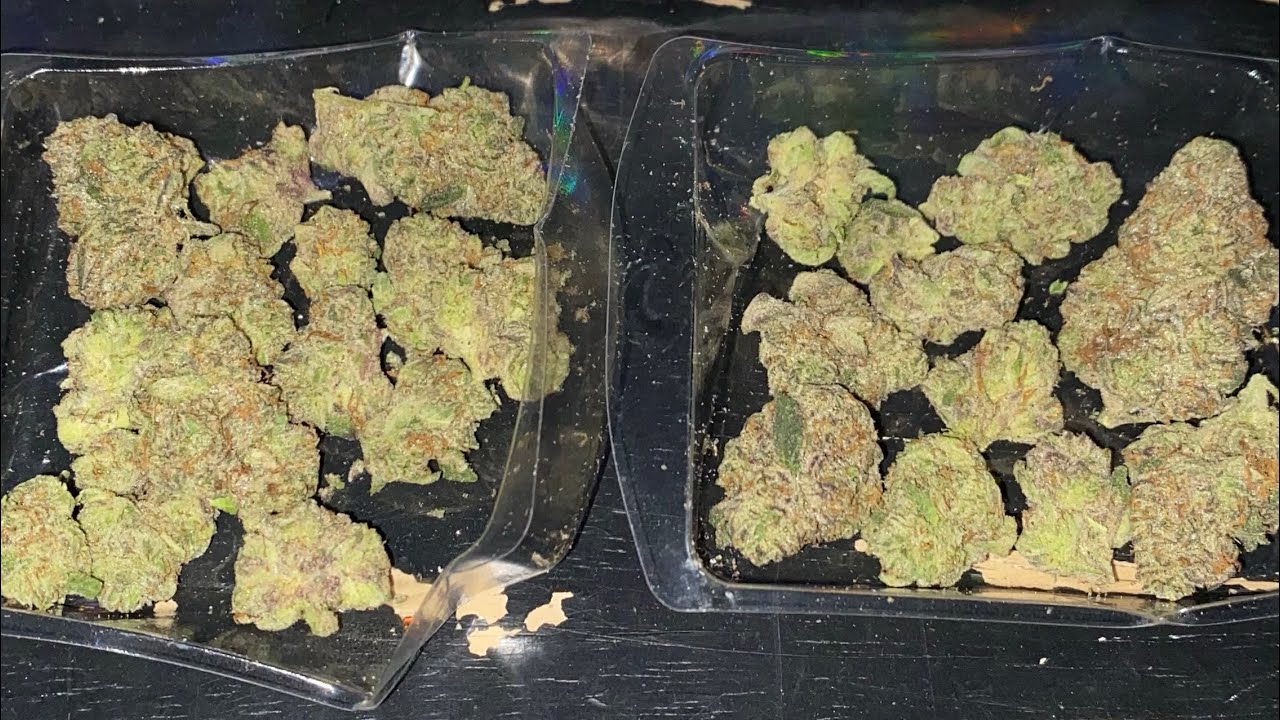 Zereal Milk Strain Review