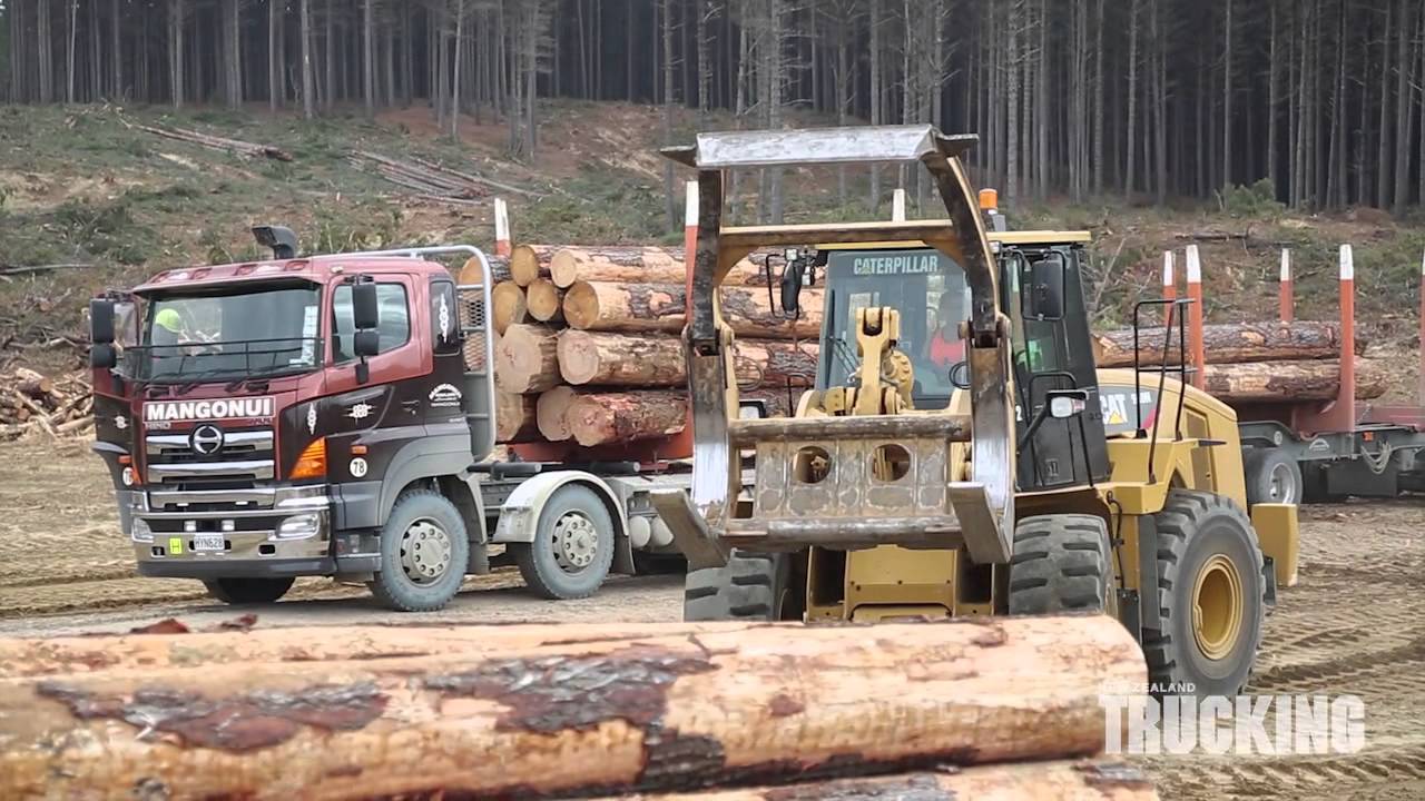Hino 700 Mangonui Haulage