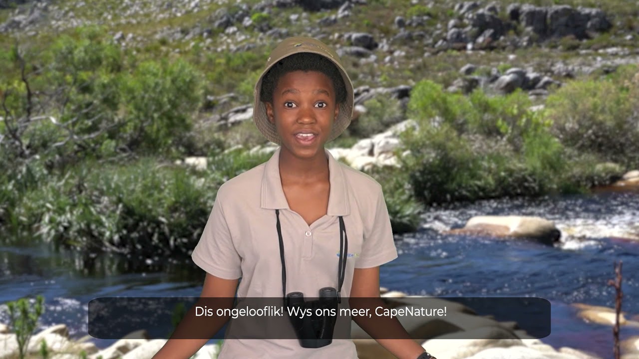 LoveNature Series _ Water Cycle Gr4 & 5 _ Afrikaans subtitled
